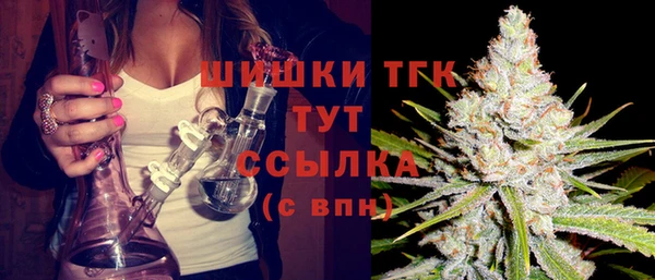 сатива Нея