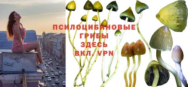 кокс Абаза