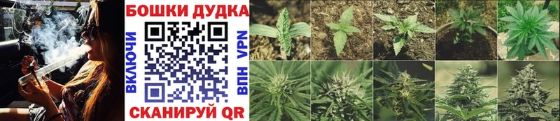 Канабис SATIVA & INDICA  Сафоново 